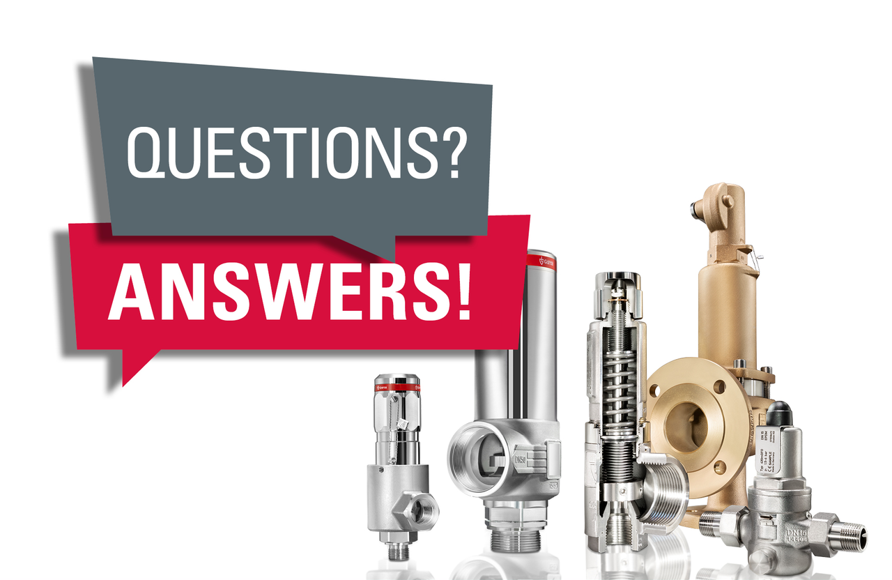 Valve trim FAQs - Infographic summarizing frequently asked questions about valve trims and their components.