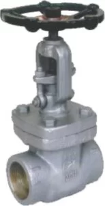 FORGED STAINLESS STEEL GLOBE VALVE BOLTED BONNET